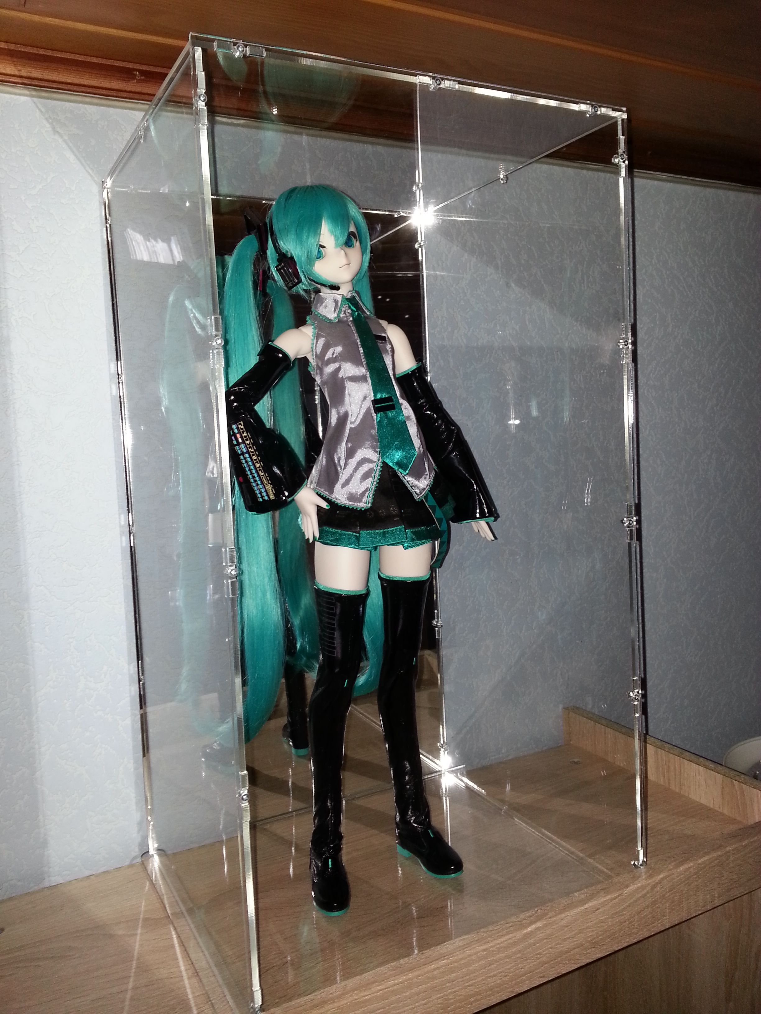 Kundenfoto: Anime-Sammelfigur Hatsune Miku in einem sora-Actionfiguren-Case