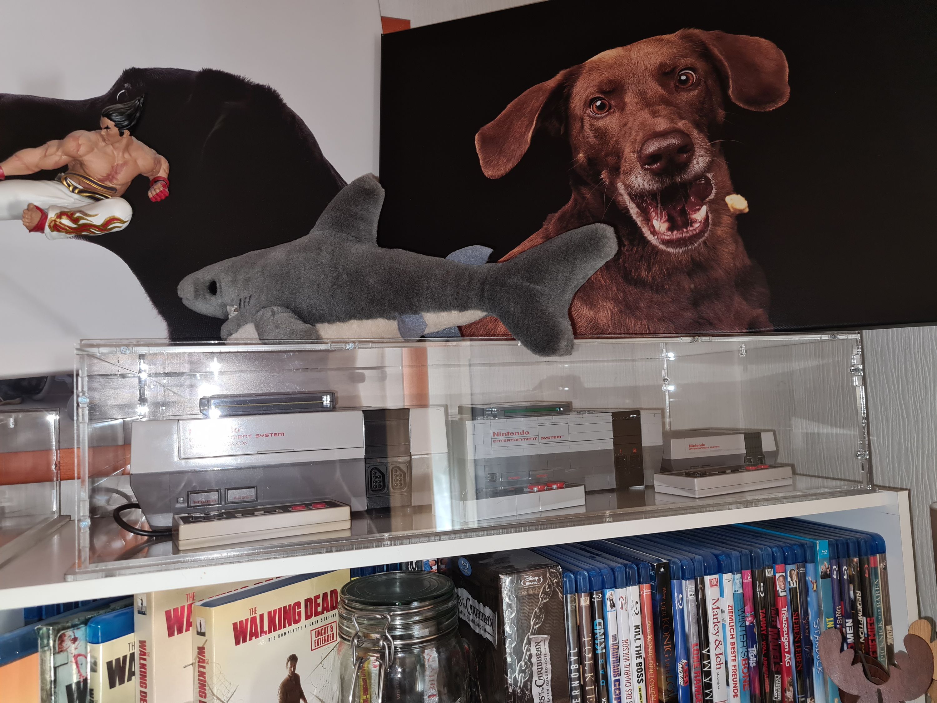 Kundenfoto: Retro-Gaming-Konsolen und Blu-ray-Sammlung nebeneinander im sora-Regalsystem